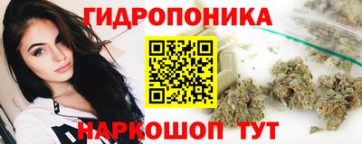 Альфа ПВП Можайск