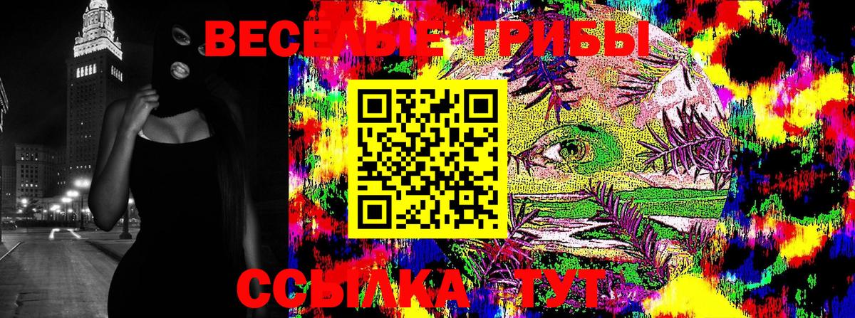 Галлюциногенные грибы мицелий  Вход с VPN  Сорочинск 